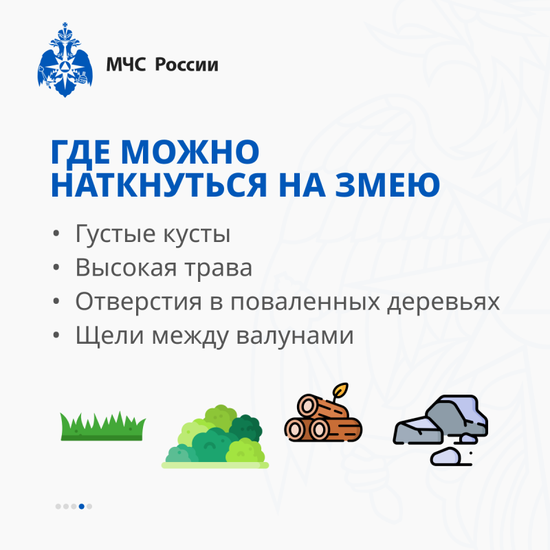 info_60_0.png