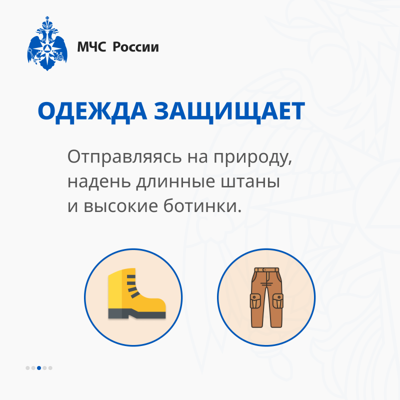 info_62_0.png