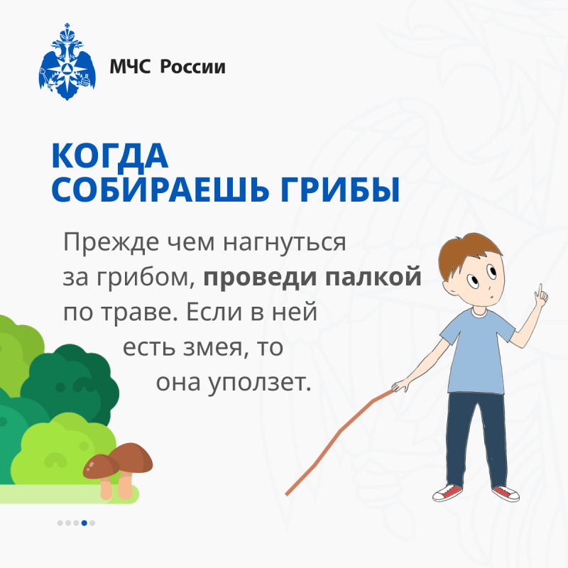 info_64_0.png