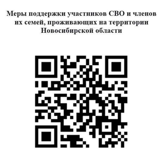 qr-msp_svo.jpg