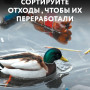 small_seria_9_animal_poster_a2_2.jpg