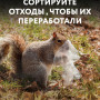 small_seria_9_animal_poster_a2_3.jpg