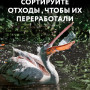 small_seria_9_animal_poster_a2_5.jpg