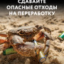 small_seria_9_animal_poster_a2_6.jpg