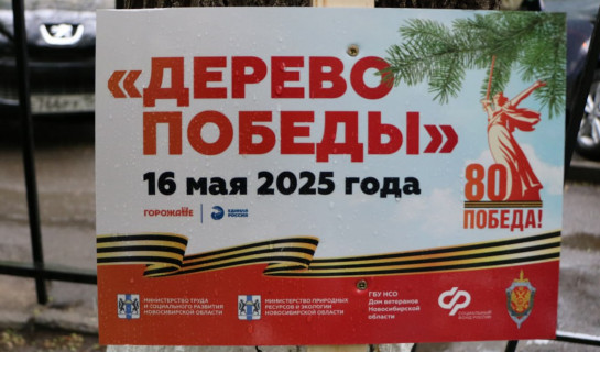 «Дерево Победы»: в регионе прошла акция по высадке елей