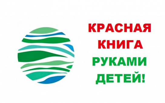Приглашаем к сотрудничеству со Всероссийским экологическим интернет-проектом «КРАСНАЯ КНИГА РУКАМИ ДЕТЕЙ!»